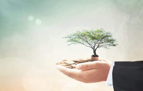 A man's hands holding coins and a charity tree.