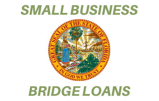 Small Business Emergency Bridge Loan Program for article