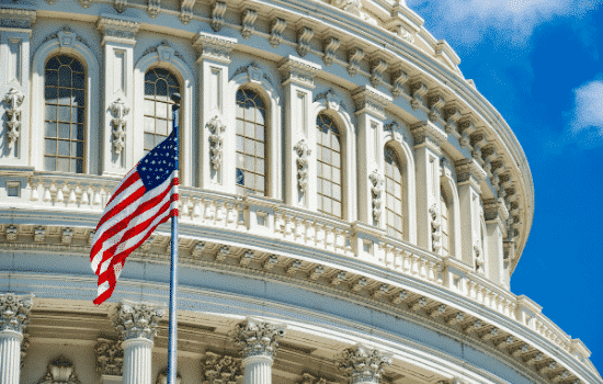 USA Flag Capitol