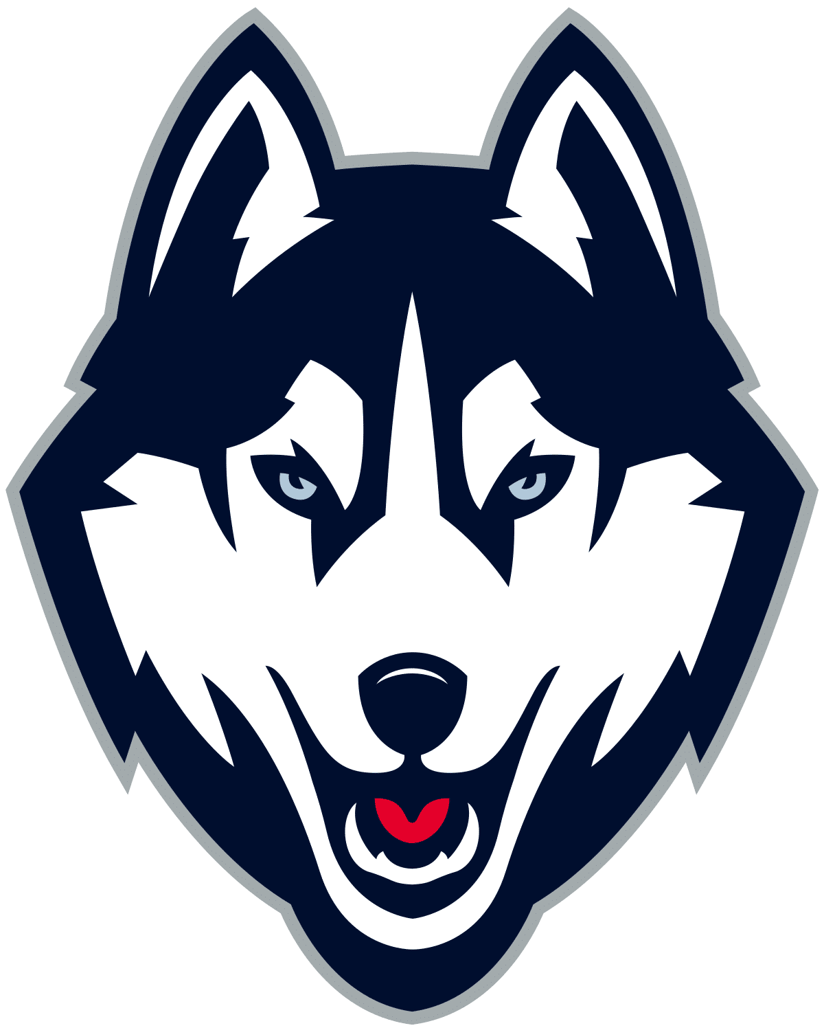 University of Connecticut Husky