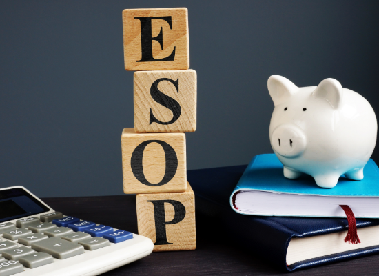 ESOP on blocks with piggy bank and calculator