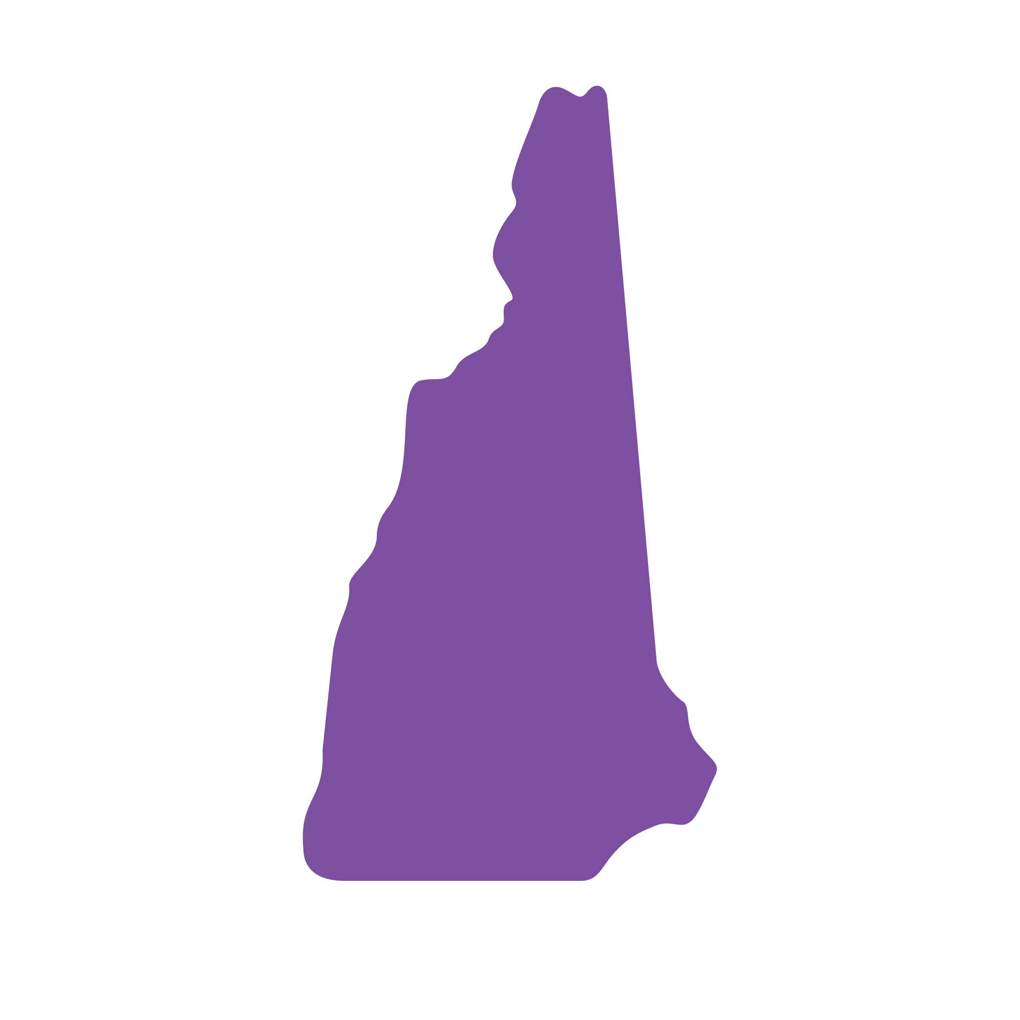 State-Outline_New Hampshire State outline of New Hampshire