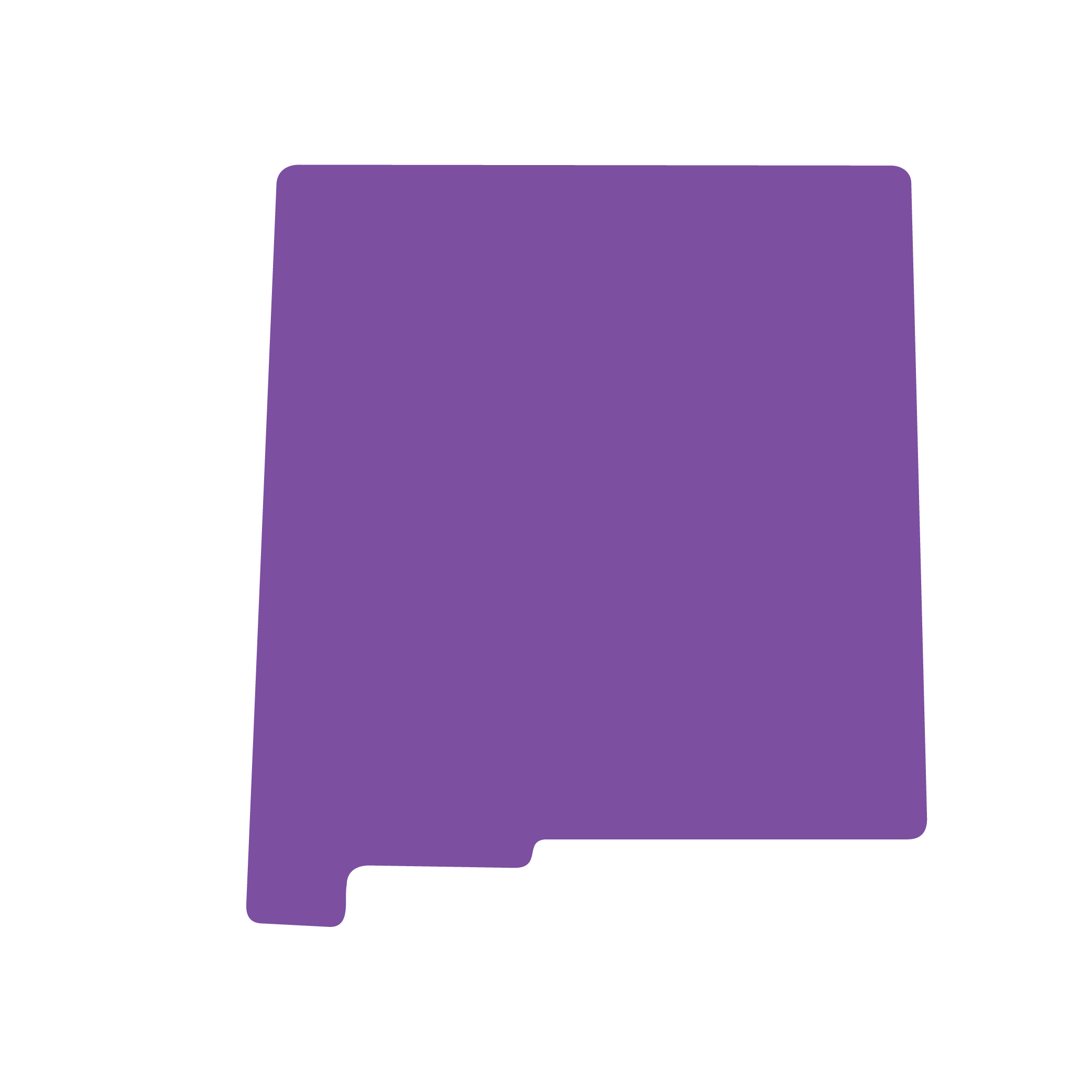 State-Outline_New Mexico State outline of New Mexico