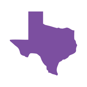 State outline of Texas