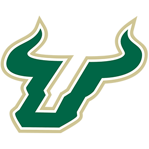 University of South Florida
