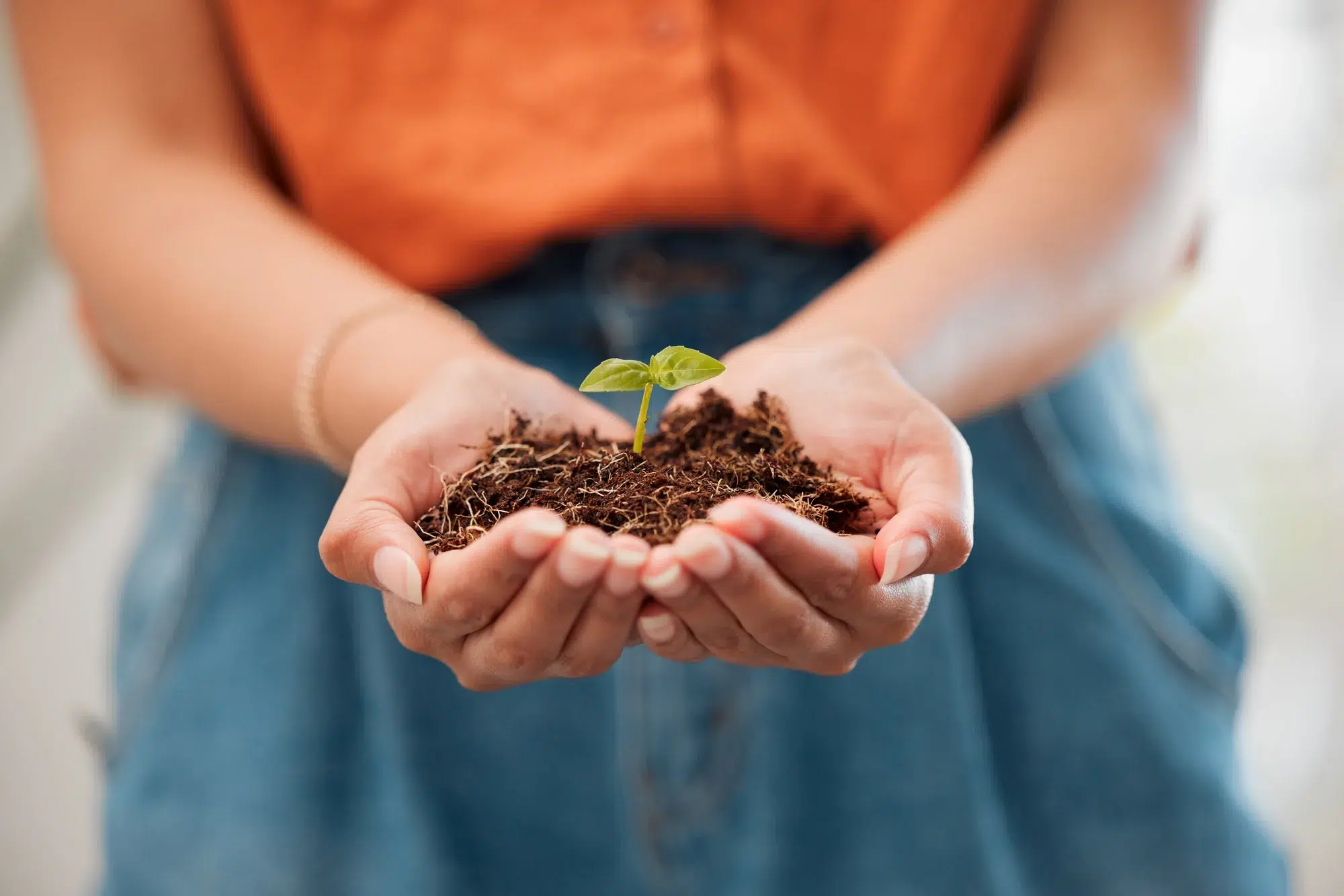 A nonprofit worker holding a plant in a pile of dirt in her hands.