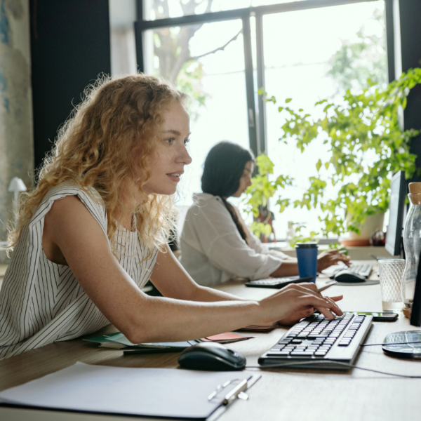 Minnesota Startup benefits